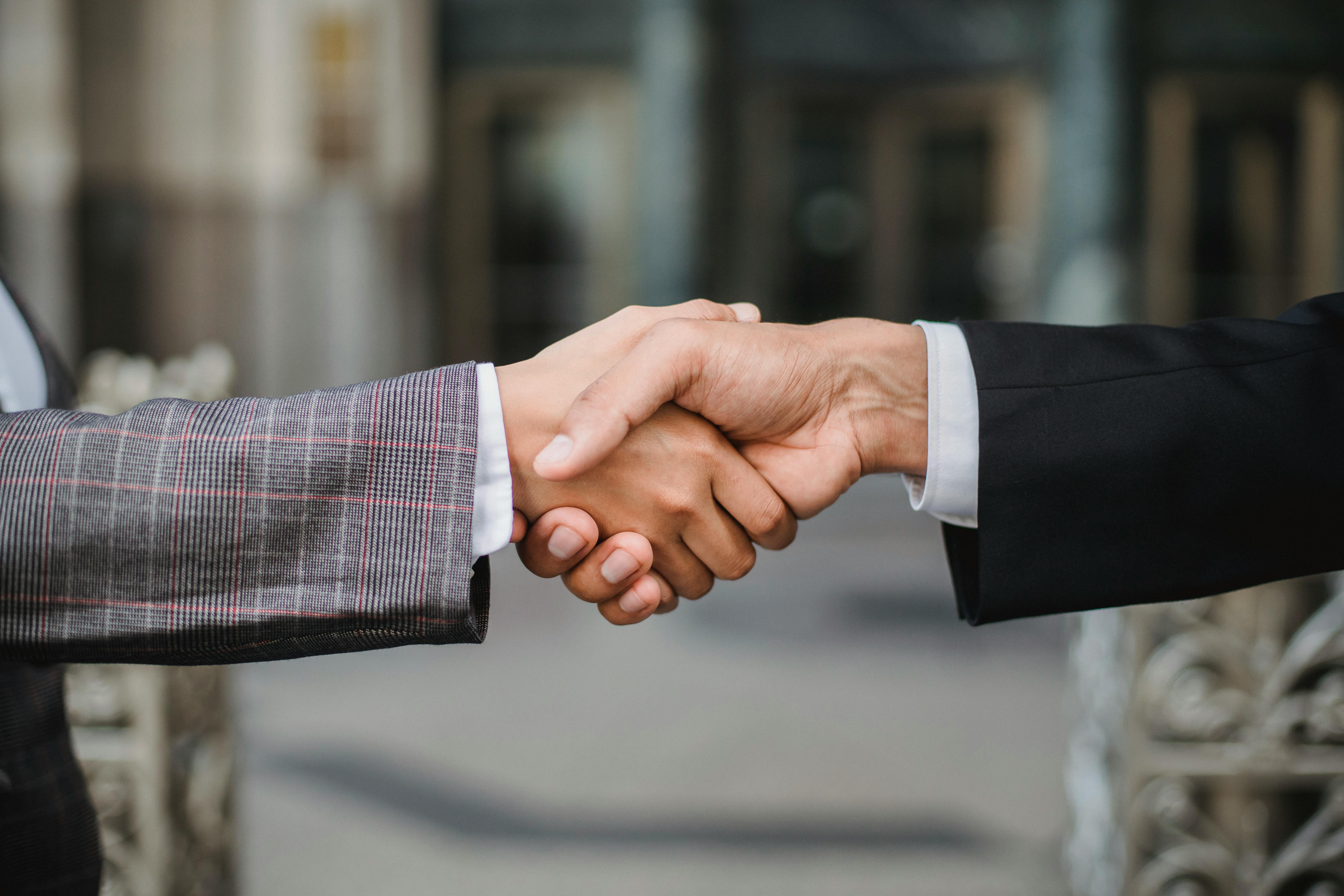 Curated Partners